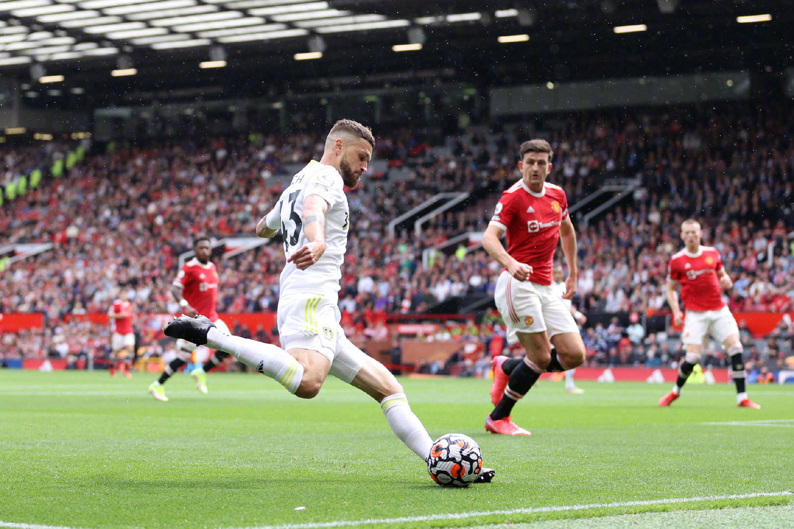 取得了显著 取得了显著